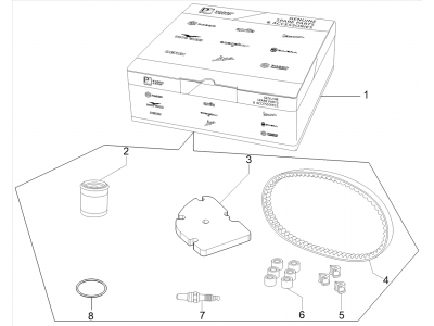 Complete wear and maintenance kit